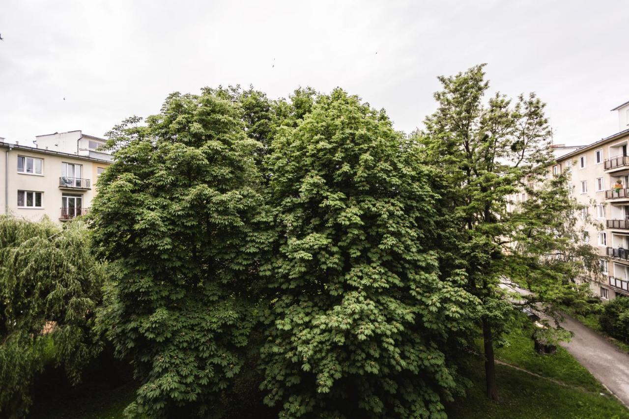 Flexihome Sk - Tolsteho - Free Parking On The Street - 2 Bedrooms Kosice Bagian luar foto